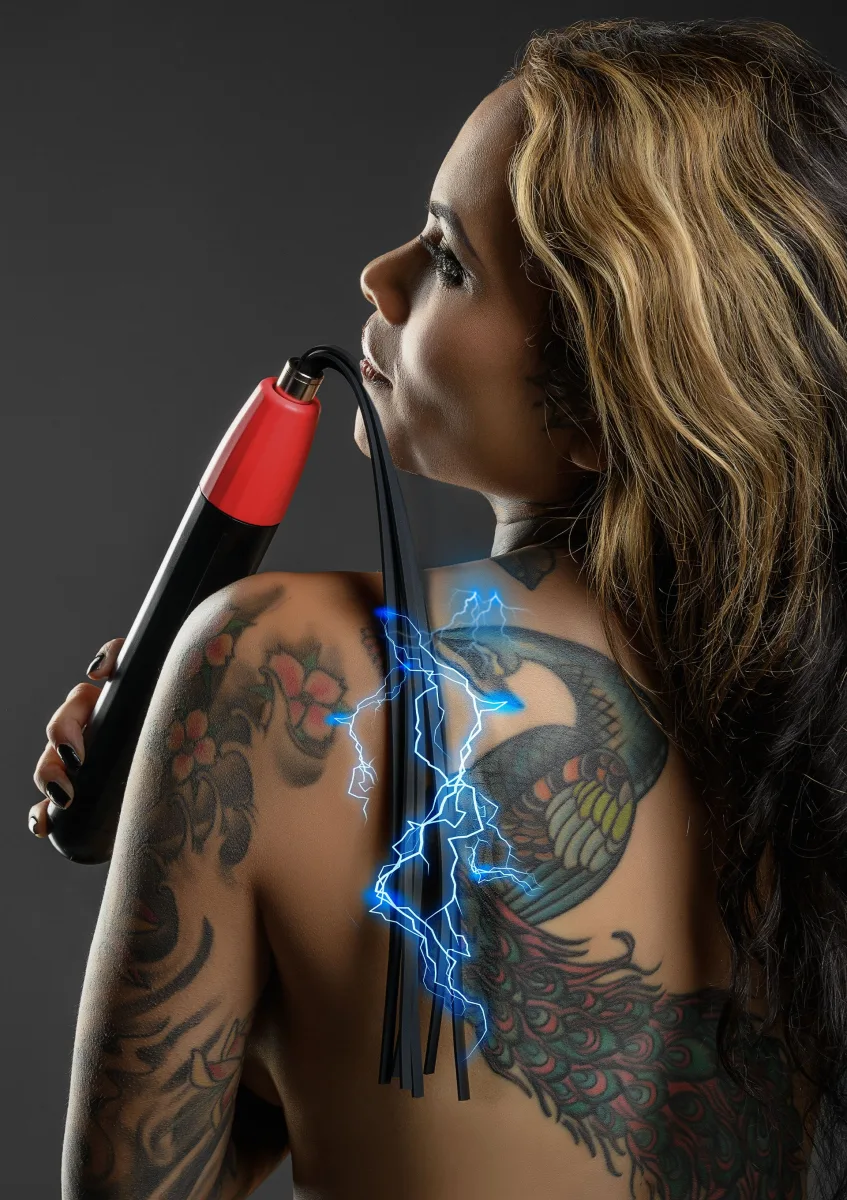 Elektro Wand Whip