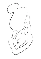 Kuss — Bild 10