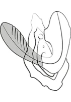 Reverb — Bild 6