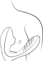 Reverb — Bild 7
