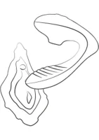 Reverb — Bild 2