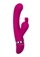 Predohra Frenzy Bunny Kisser — obrázok 1