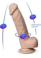 Model dilda z pravé kůže 1 - 7 palců — obrázek 2