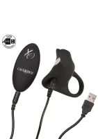 Recharge Remote Pleasurizer — image 2