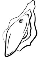 Vlna — obrázok 5