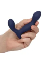 Expertná sonda vicekráľa — obrázok 6