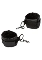 Sistema de sujeción de collar sin límites — imagen 2