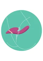 Dreifach-Erregungs-Vibrator — Bild 7