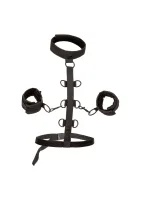 Sistema de sujeción de collar sin límites — imagen 1