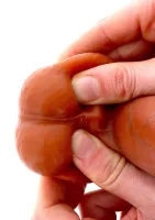 Silikonový dildo s předkožkou 20 cm — obrázek 2