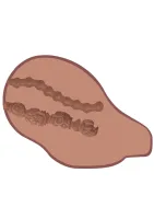 Gran vibrador de culo — imagen 7